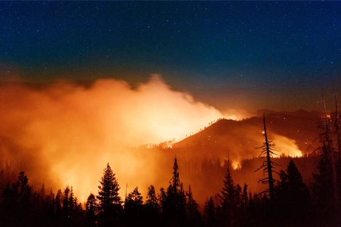 Wildfire Smoke